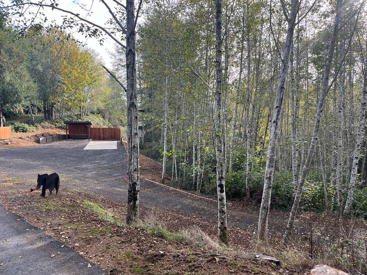 Alder Grove