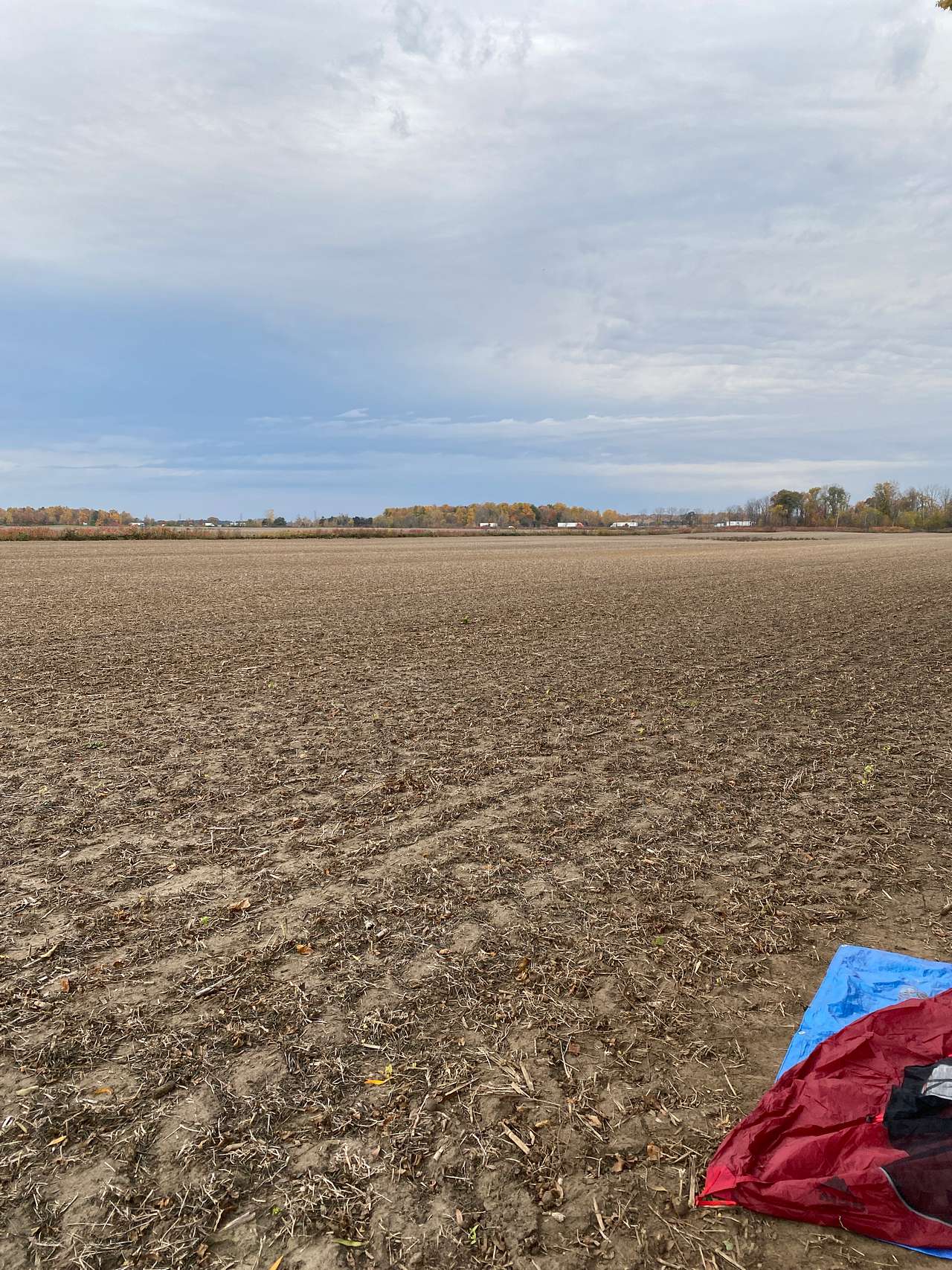 Site, and view of Highway 401