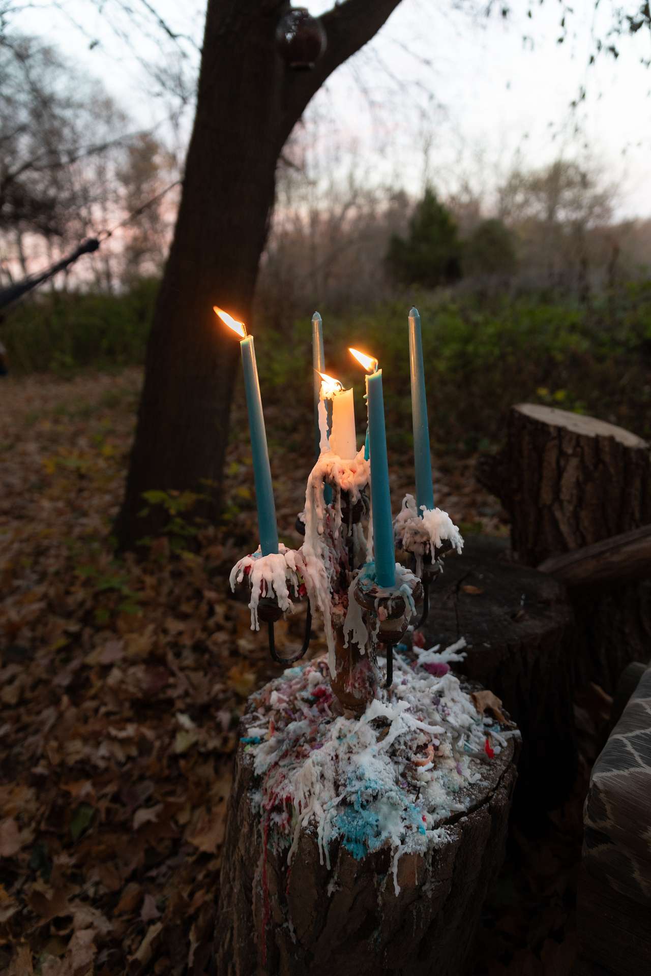 Fairytale Camping