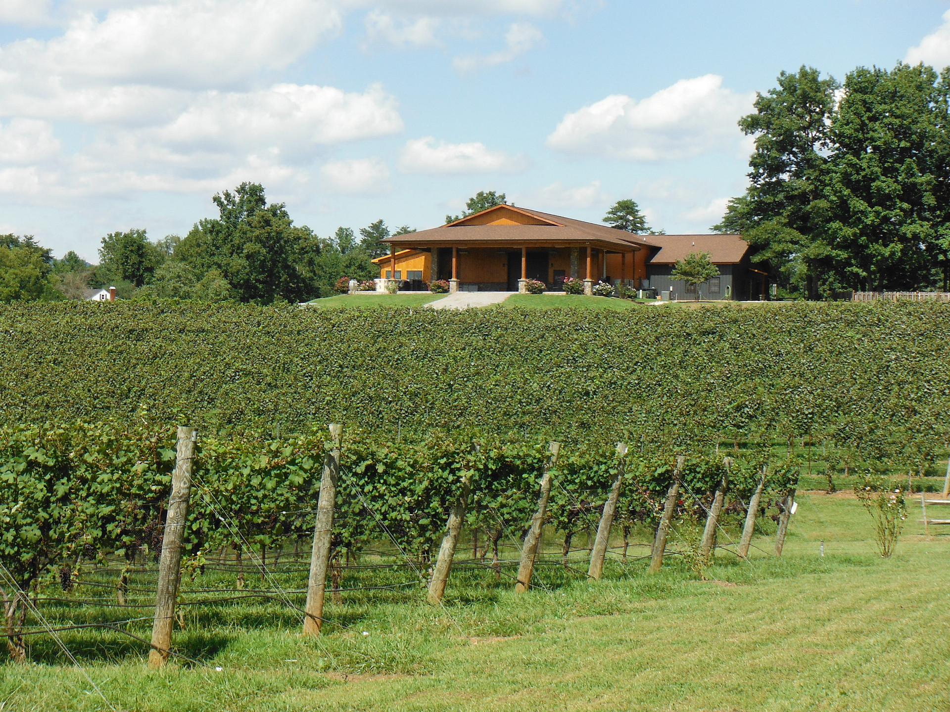 Round Peak Vineyards