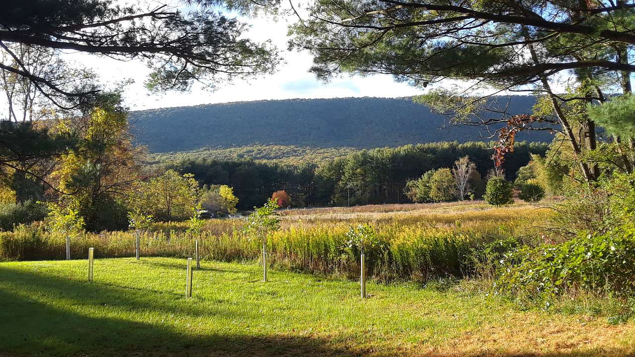 View from WonderWoods of Evitts Mountain in Rocky Gap State Park.