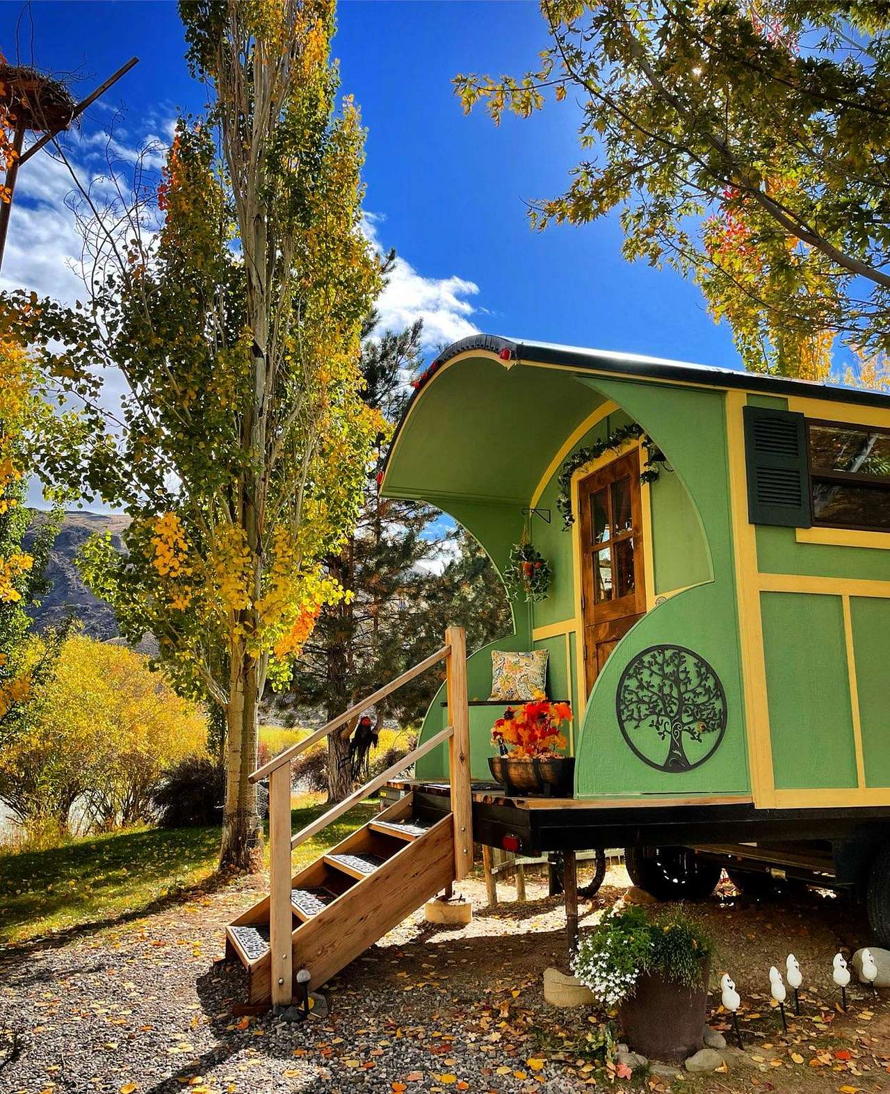 Salmon Gypsy B&B & Mini-Donkey Ranch