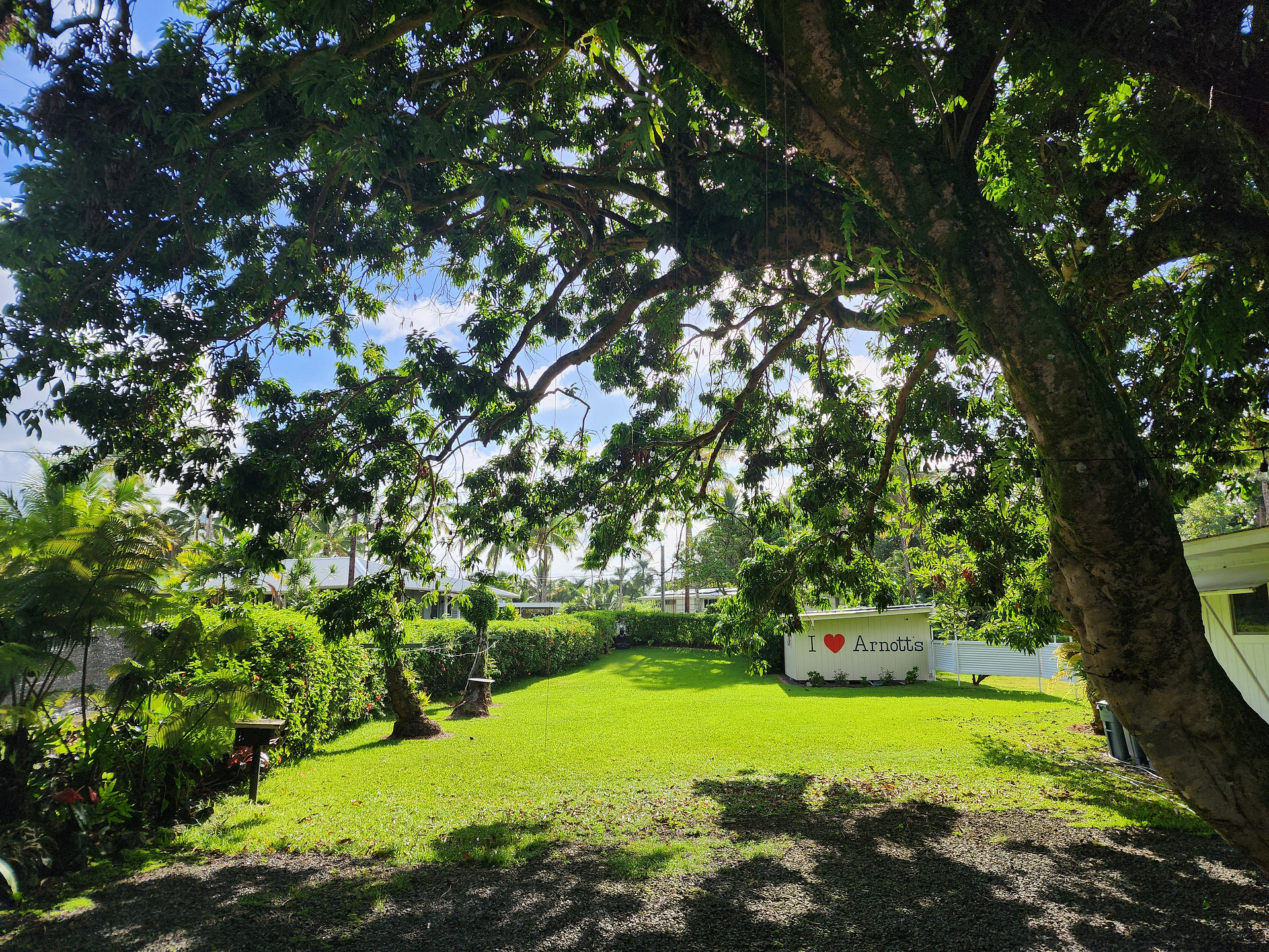 The camping lawn
