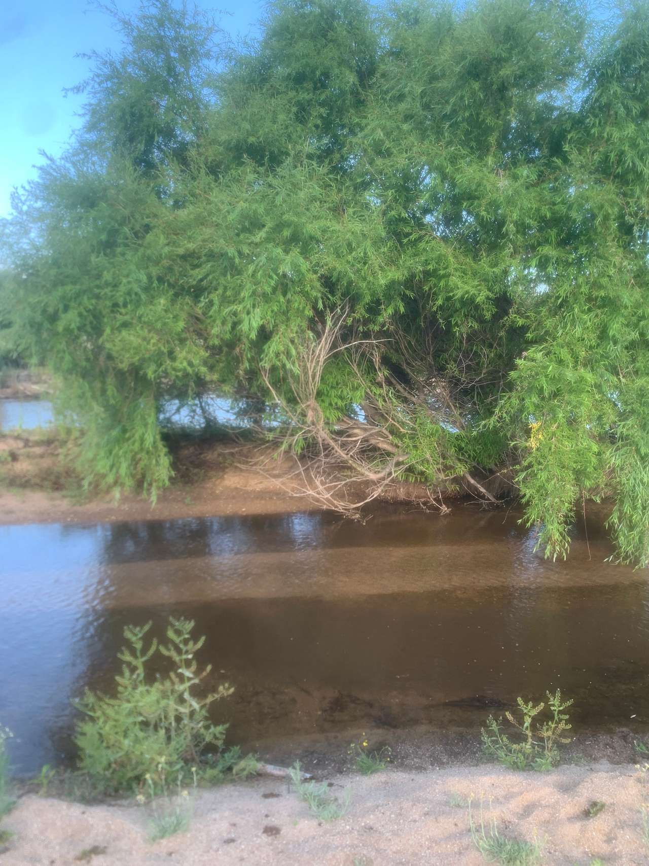 Bega River at the bottom of our property