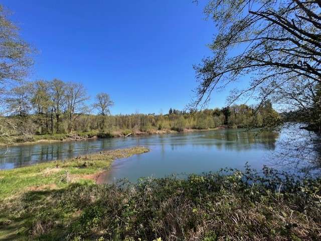 Cowlitz River Camping