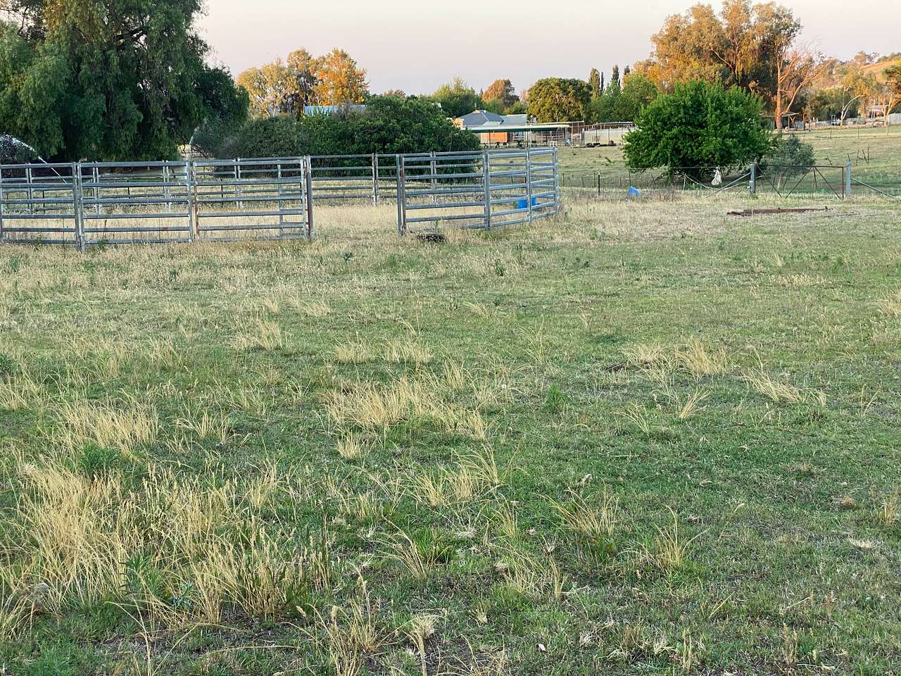 Adela Park