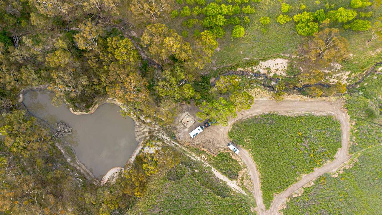 Speakeasy Vineyard