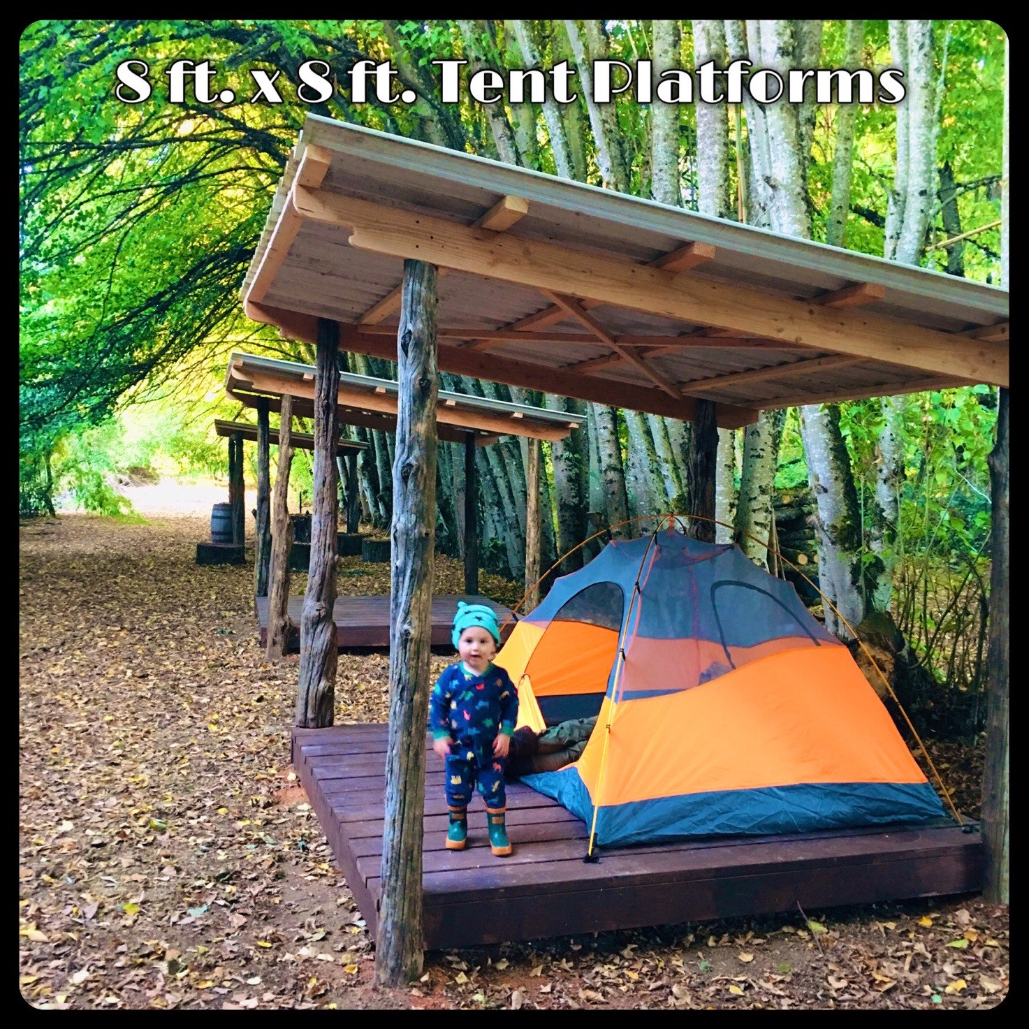 The Bamboo Forest Retreat