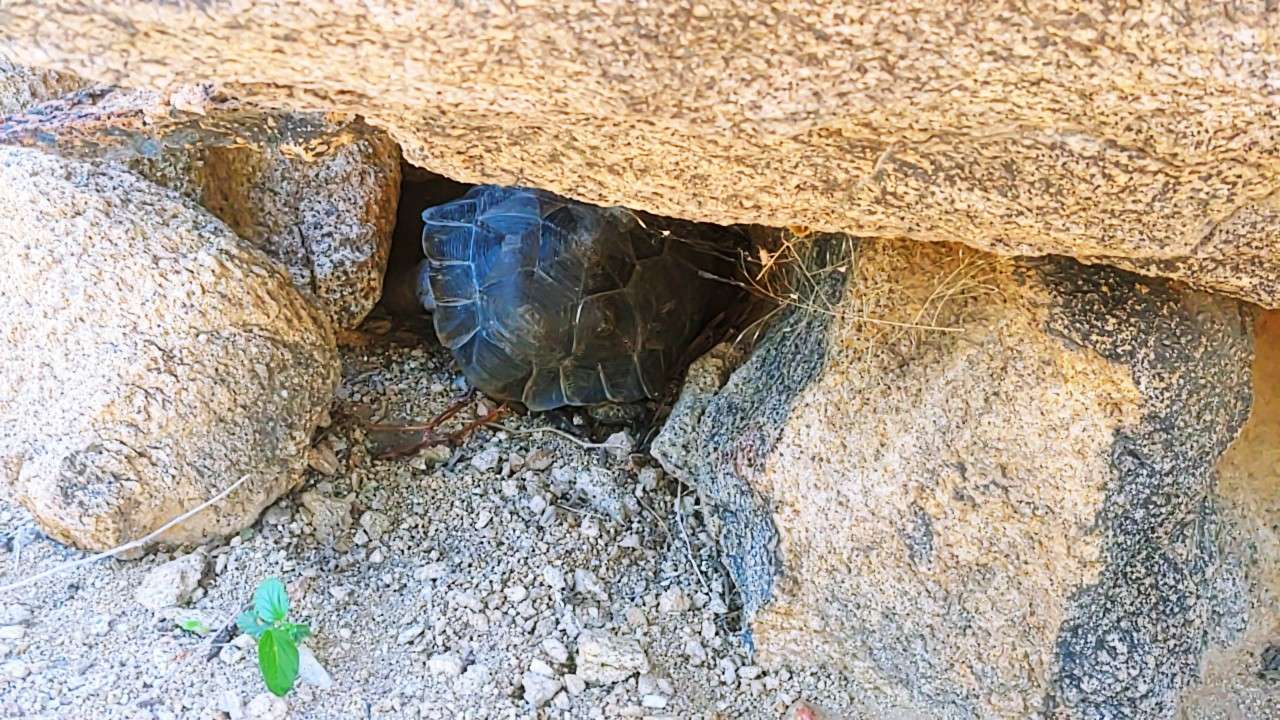 One of our First camping Guests