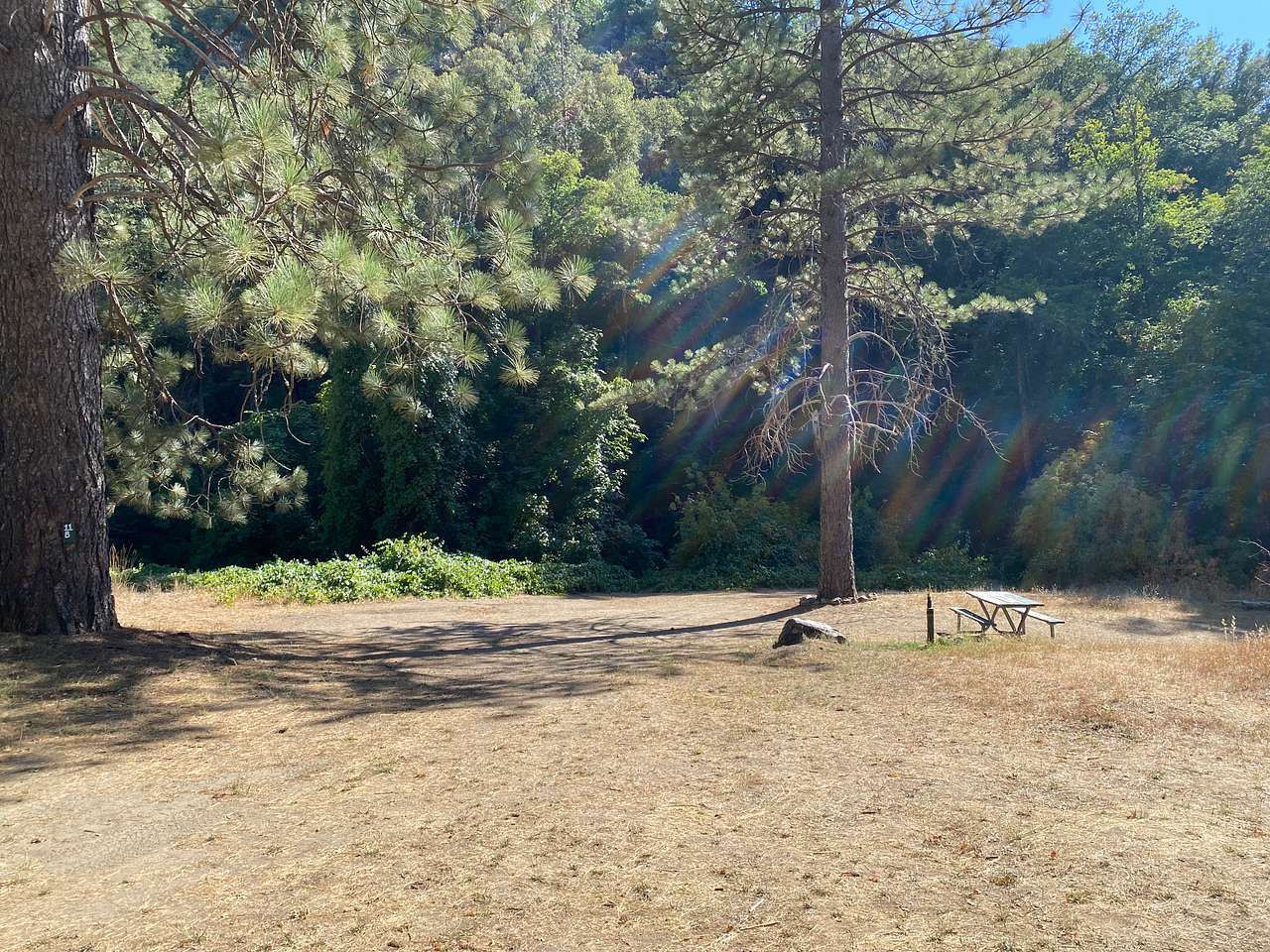 River Ranch Campgrounds