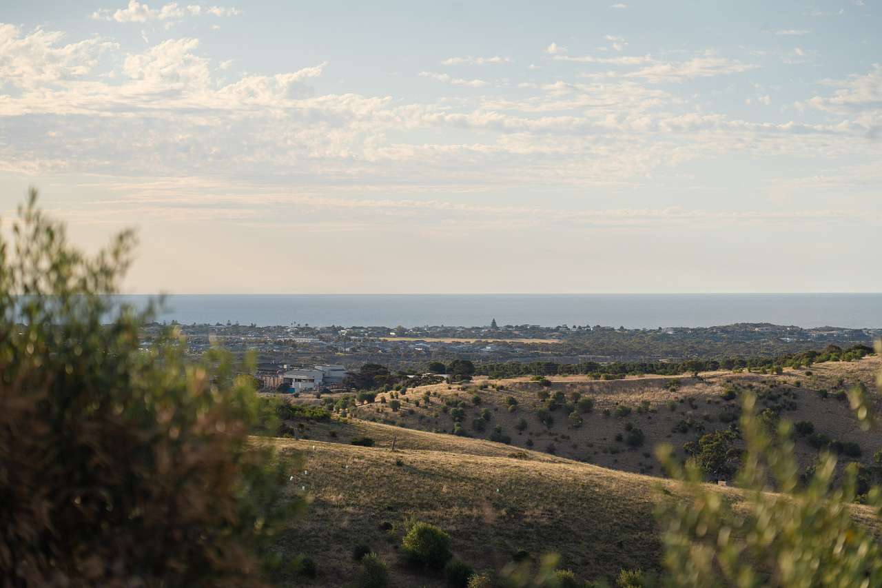 McLaren Vale National Park View