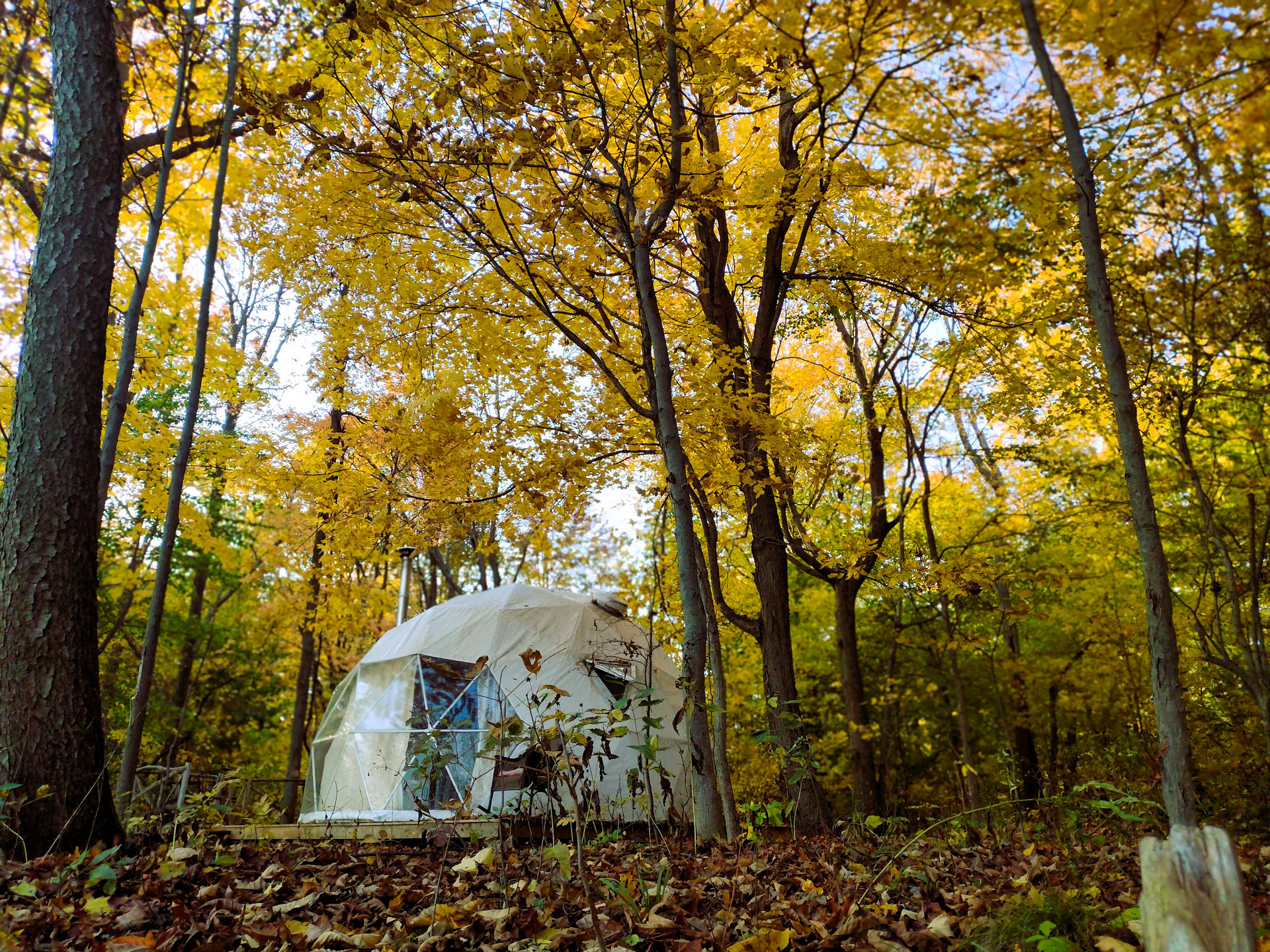 Private Geodome: Lake Erie Views