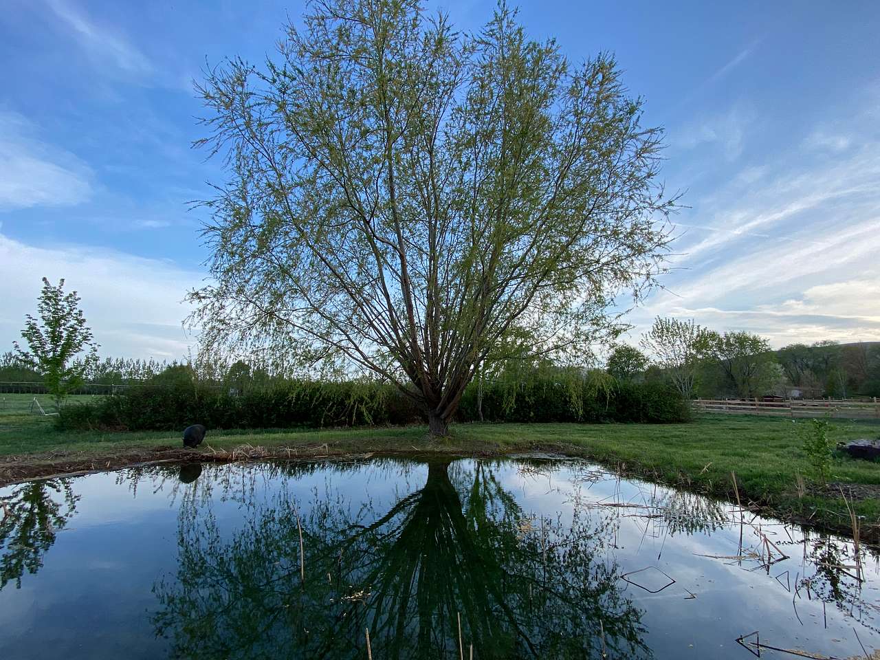 Cloudview Farm