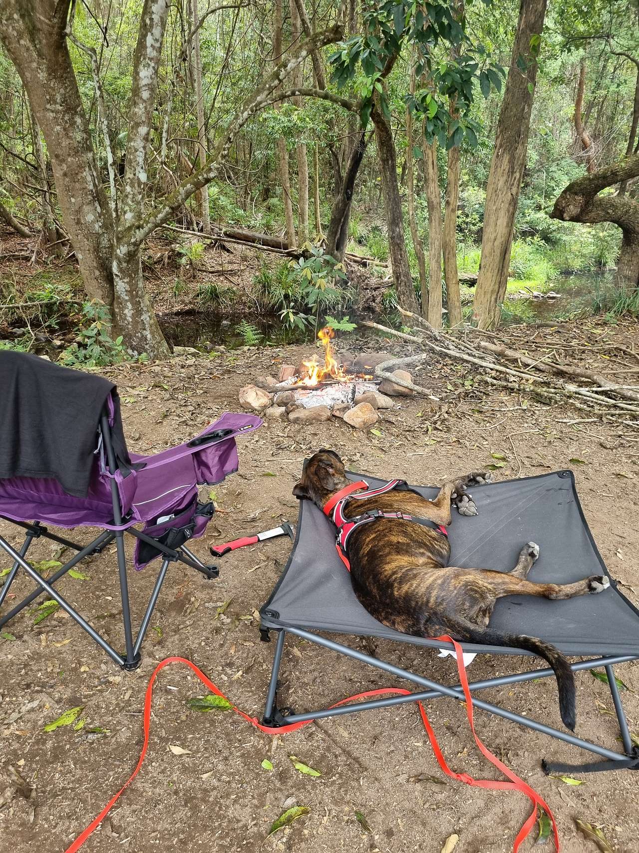 Browns Creek Camping