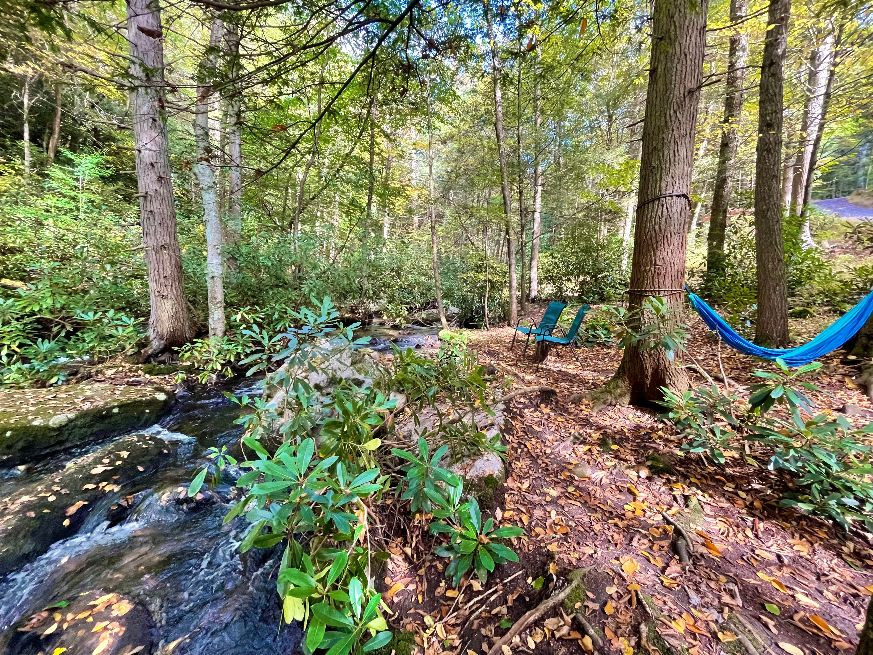 Creek view at site