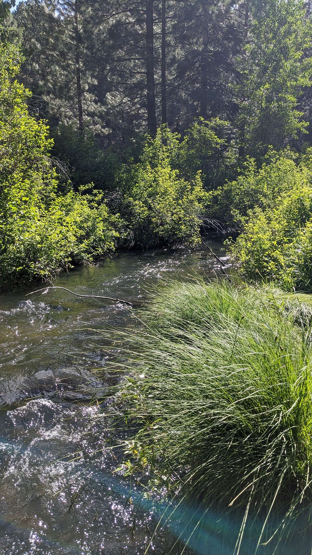 The Retreat on Big Grizzly Creek