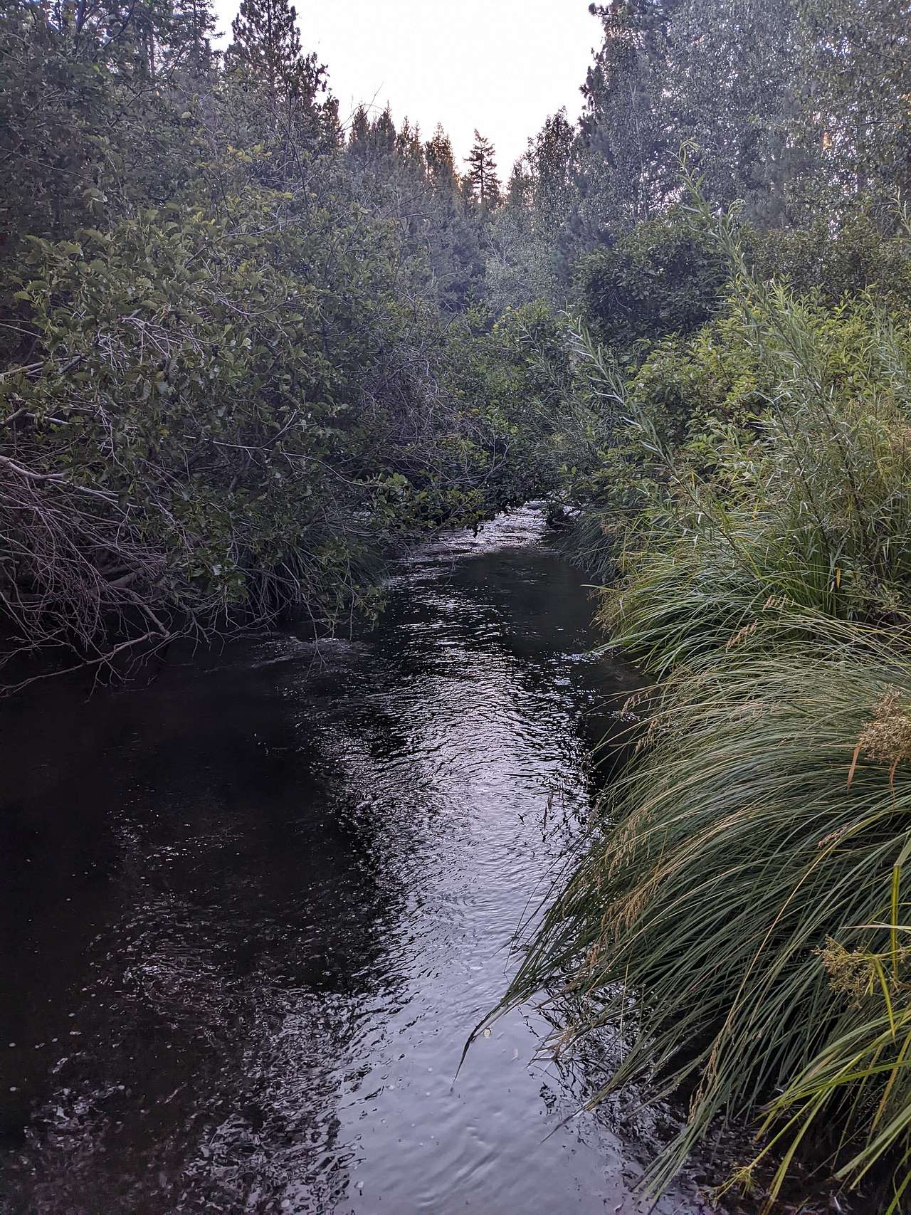 The Retreat on Big Grizzly Creek
