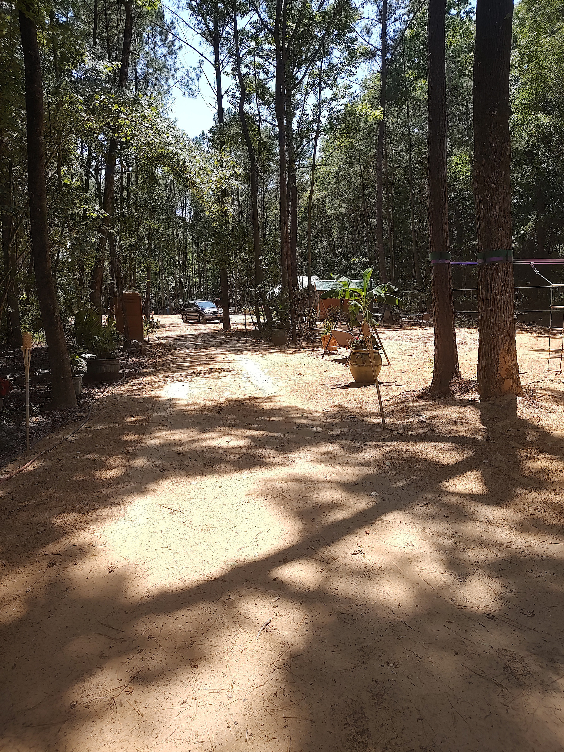 Serenity Trails
