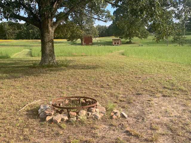 View from camp site #10 towards the barn and property access on Hwy 5.