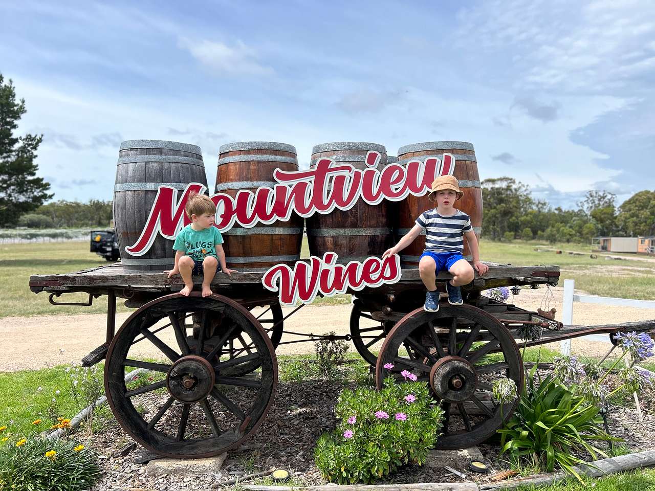 Mountview Wines Camping and Cabins