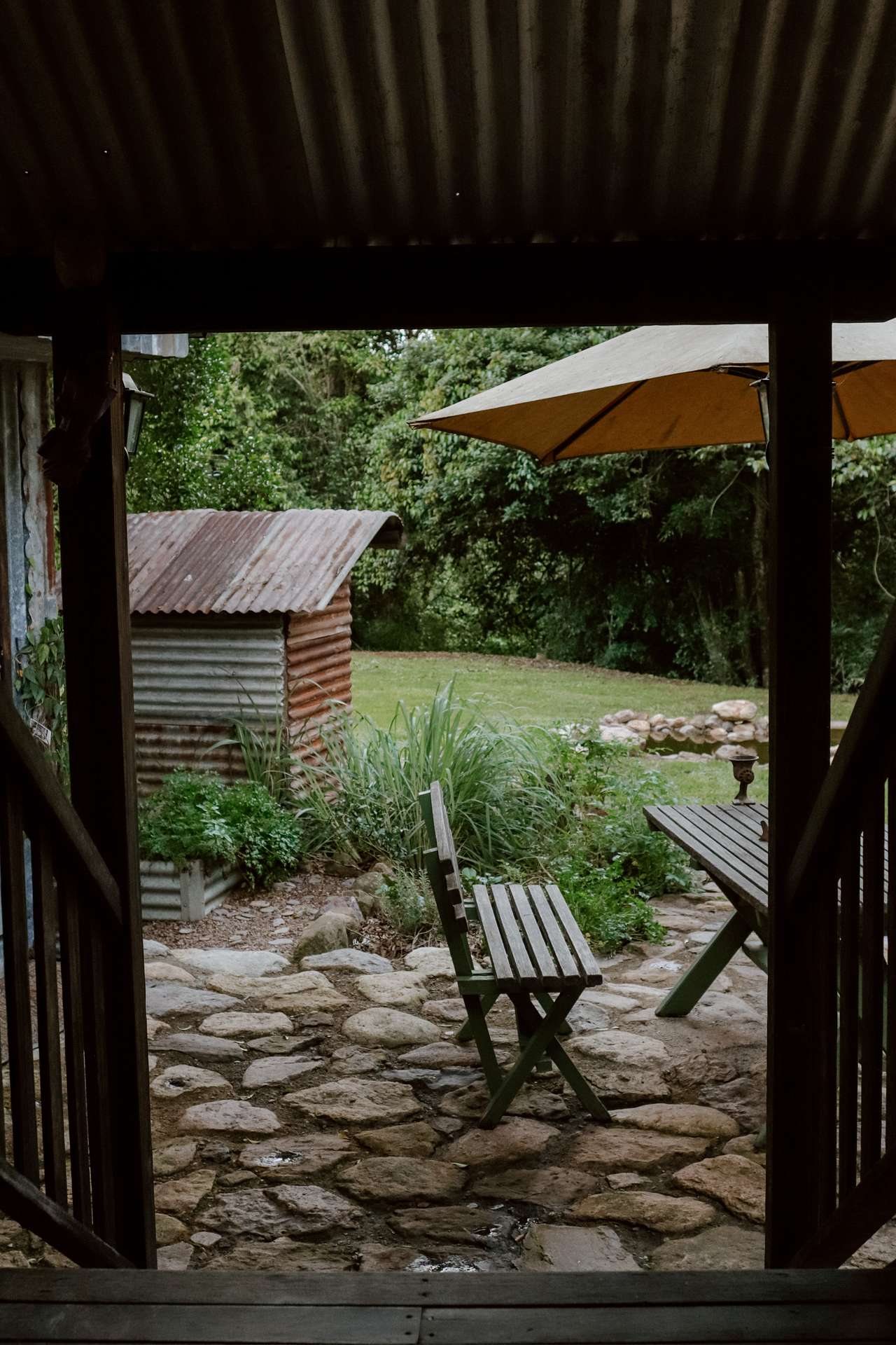 Outdoor area (view from patio) 