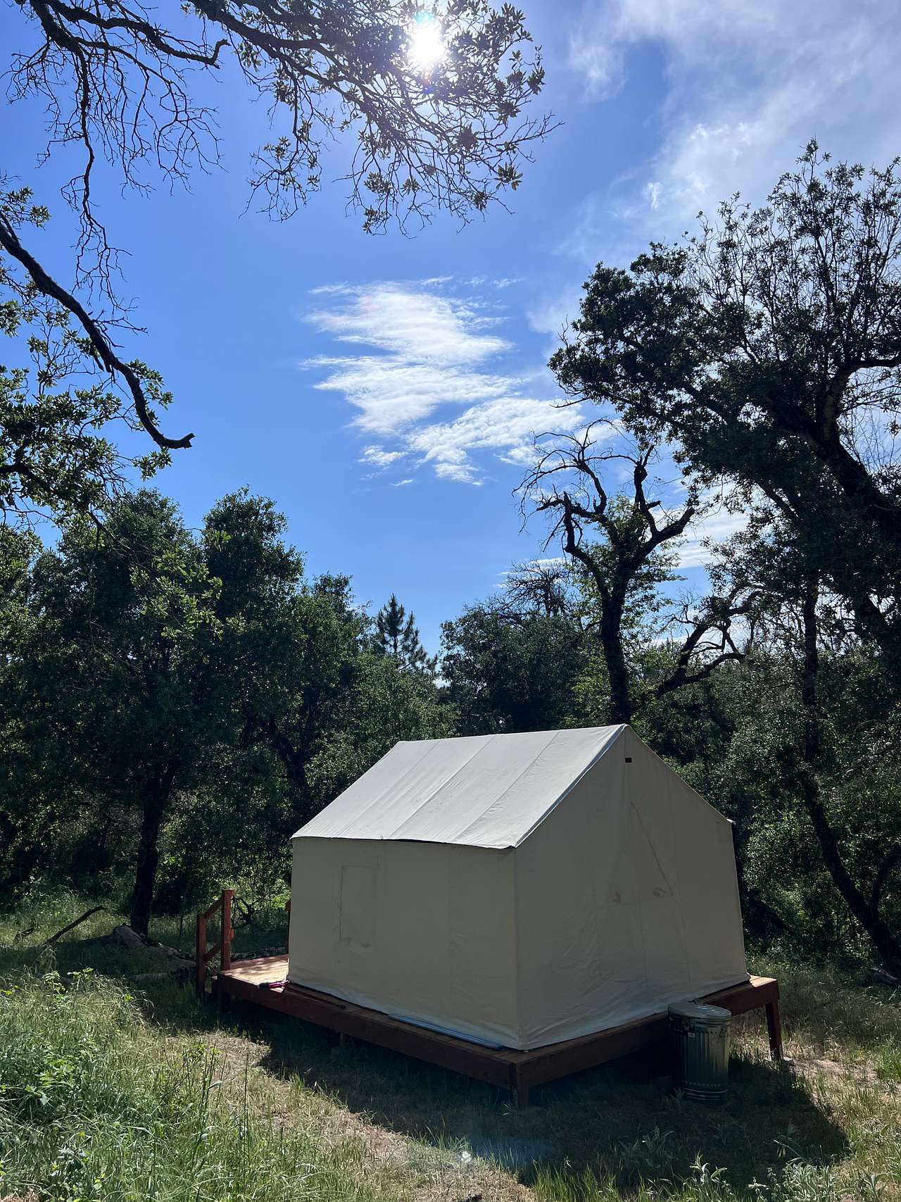 Manzanita Hill Woodland Camping