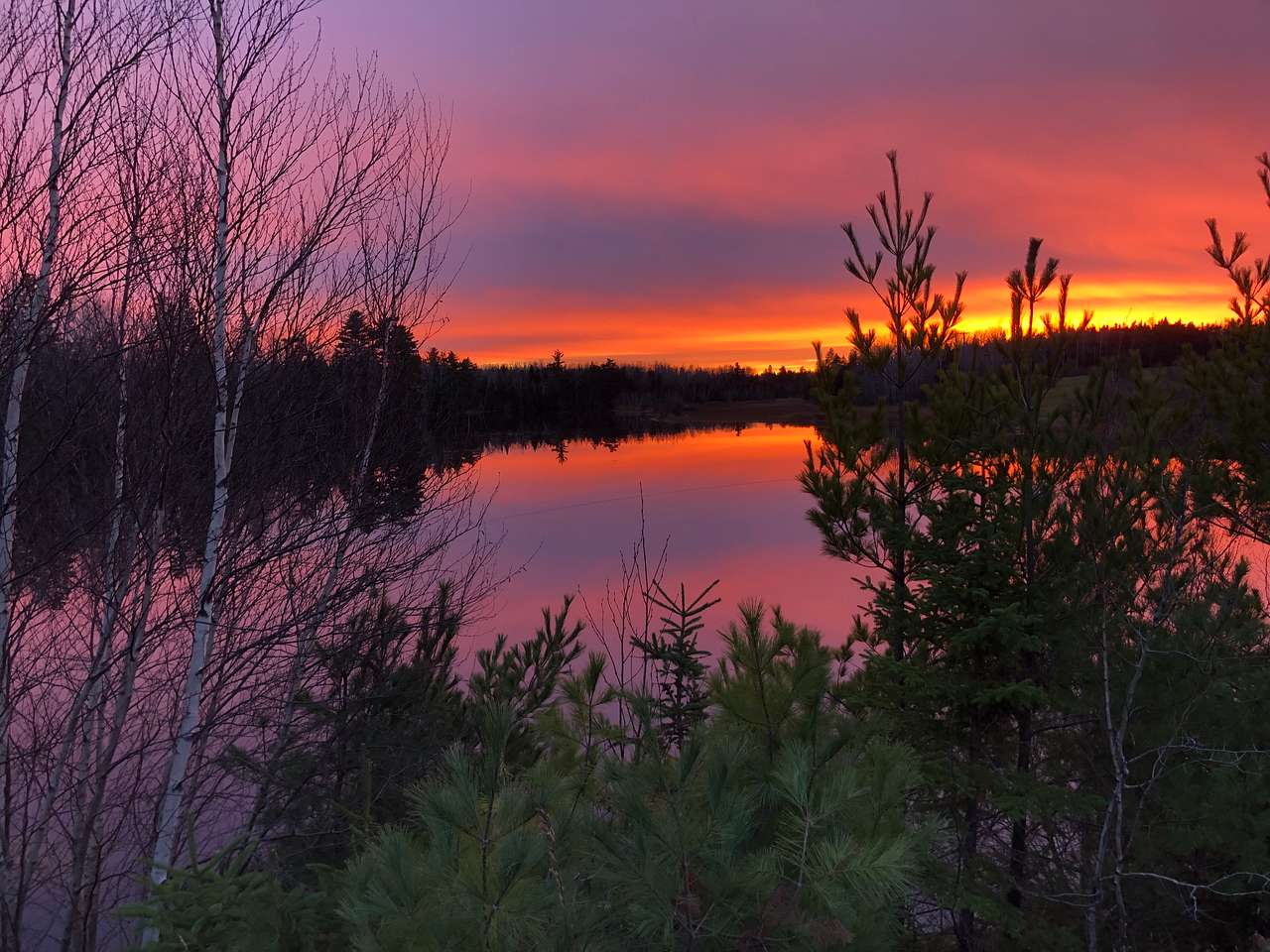 Beautiful skies