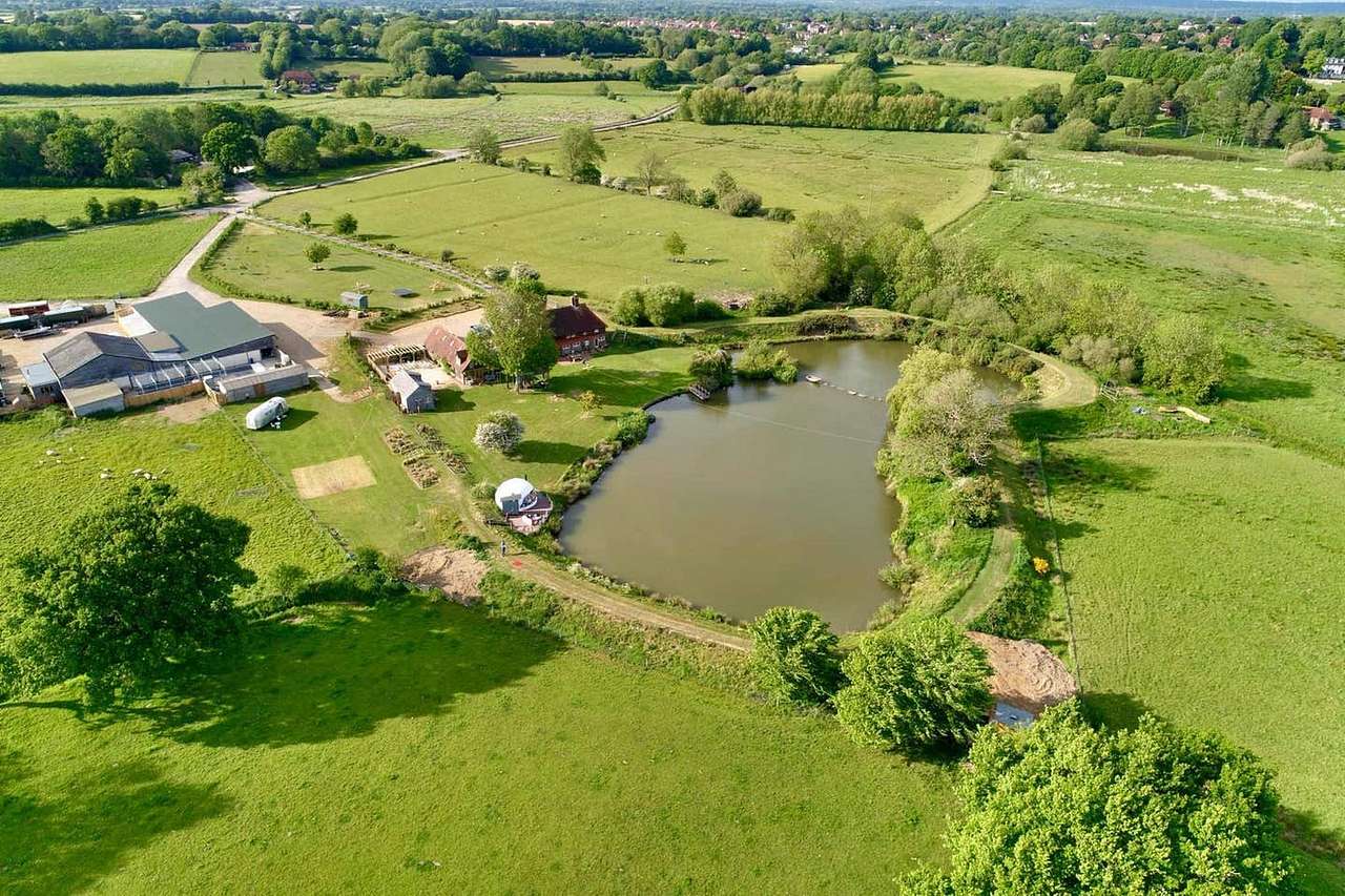 Wonderland Festival Retreat