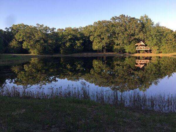 Front pond, fish habitat and ultimate swimming hole 