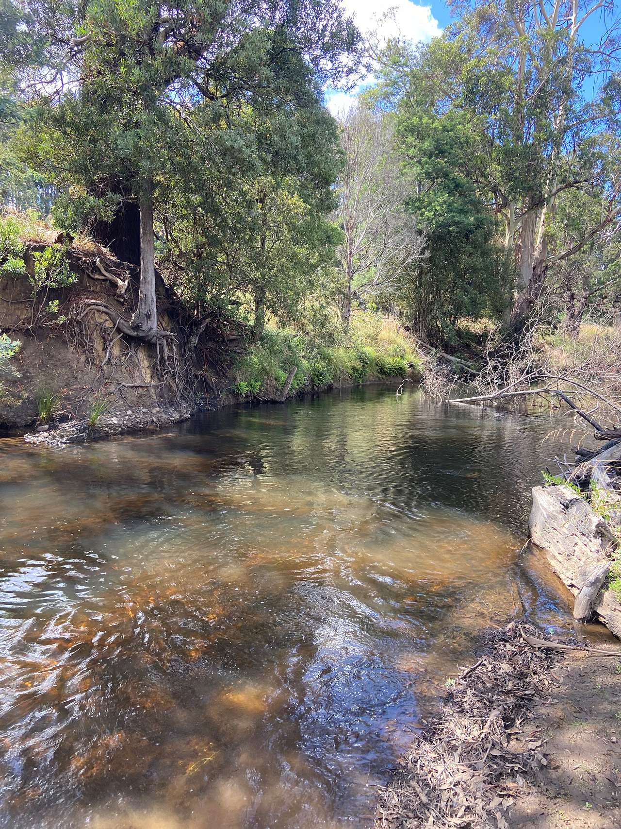 Inglis River Caravan and Camping