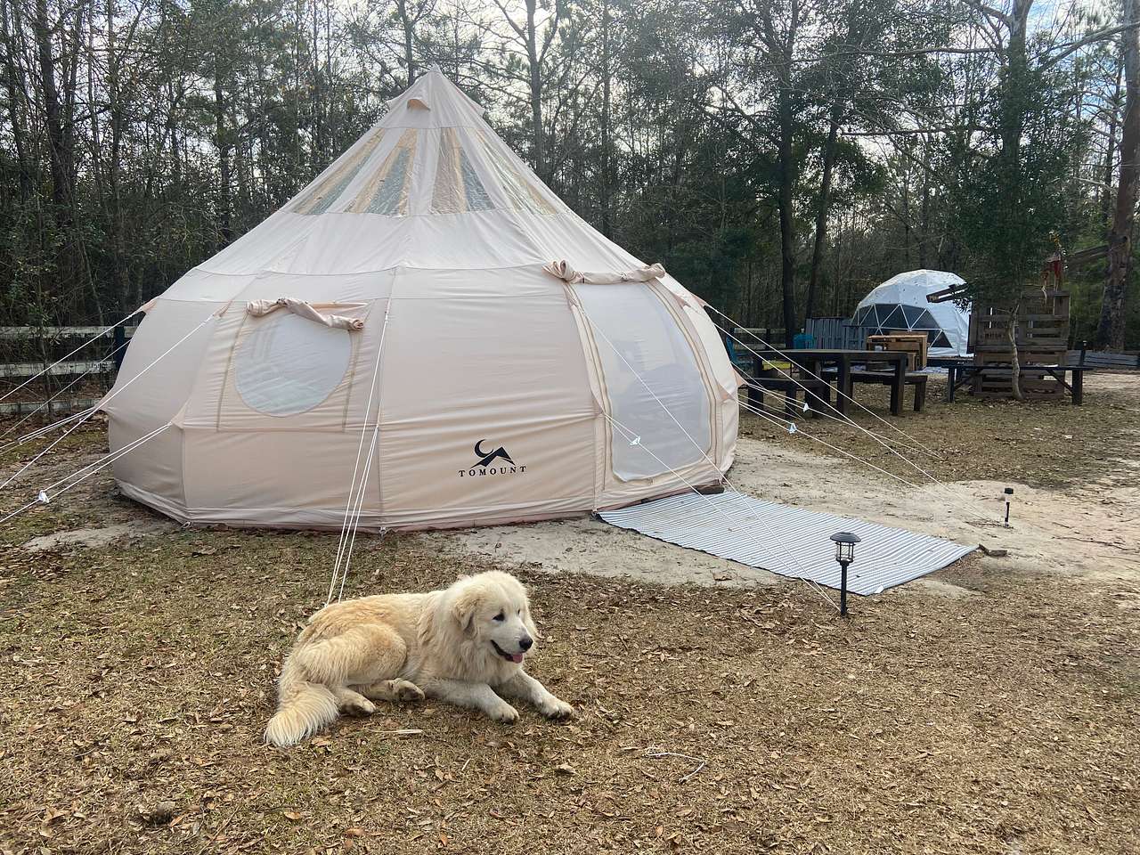 SandyLand Farmstay GlampingTherapy