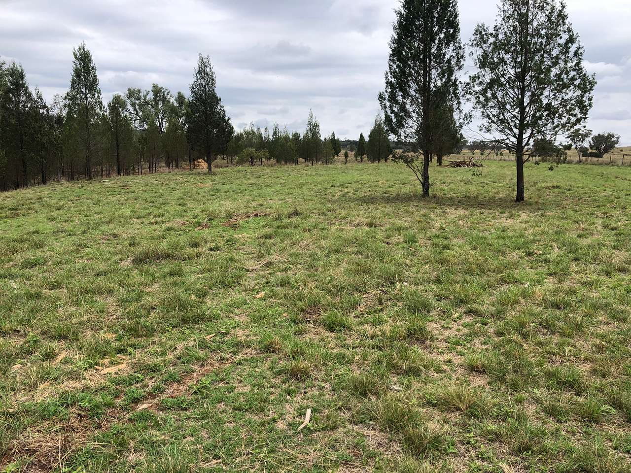 Valley Heights Texas QLD Bush Camp