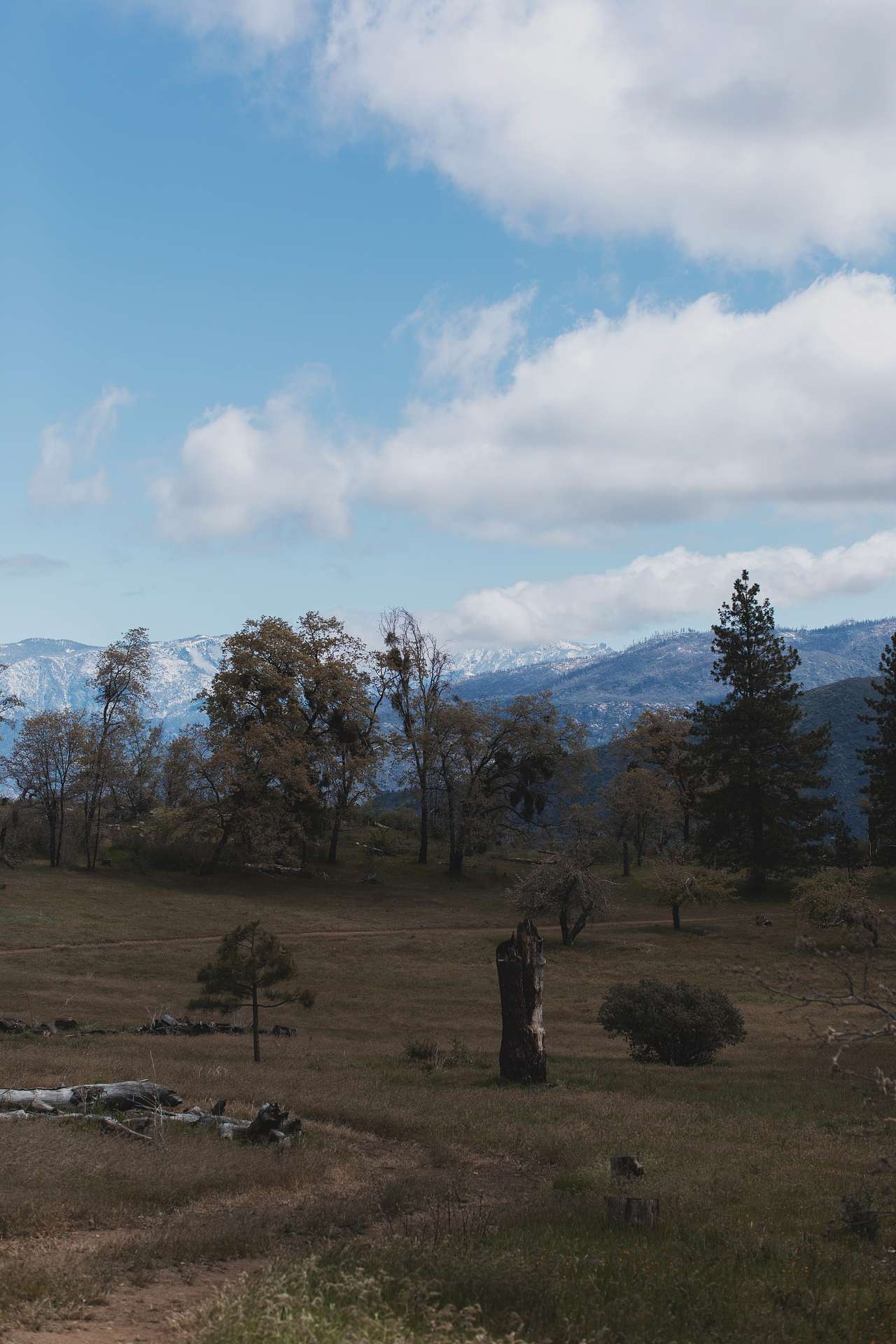 Sequoia Highland Camp