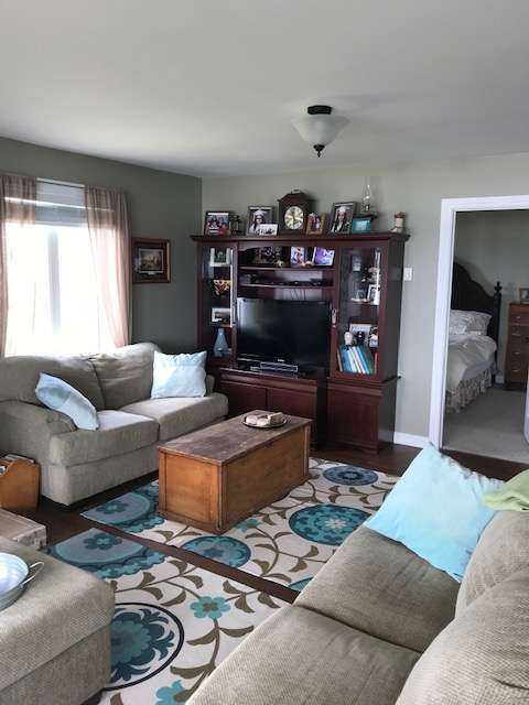 Entertainment center with smart tv, dvd player, and massive dvd collection