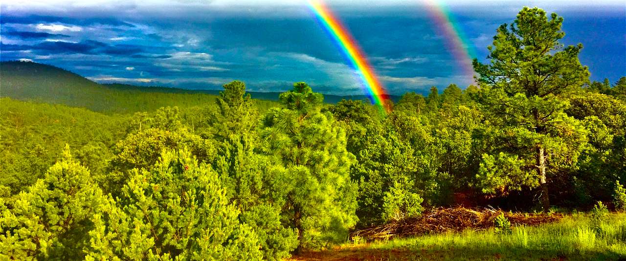 Santa Fe Treehouse Camp & Wilderness Preserve