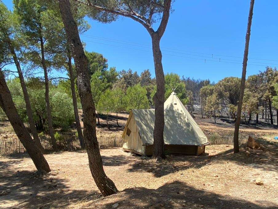 Camping Le Bois de Pins