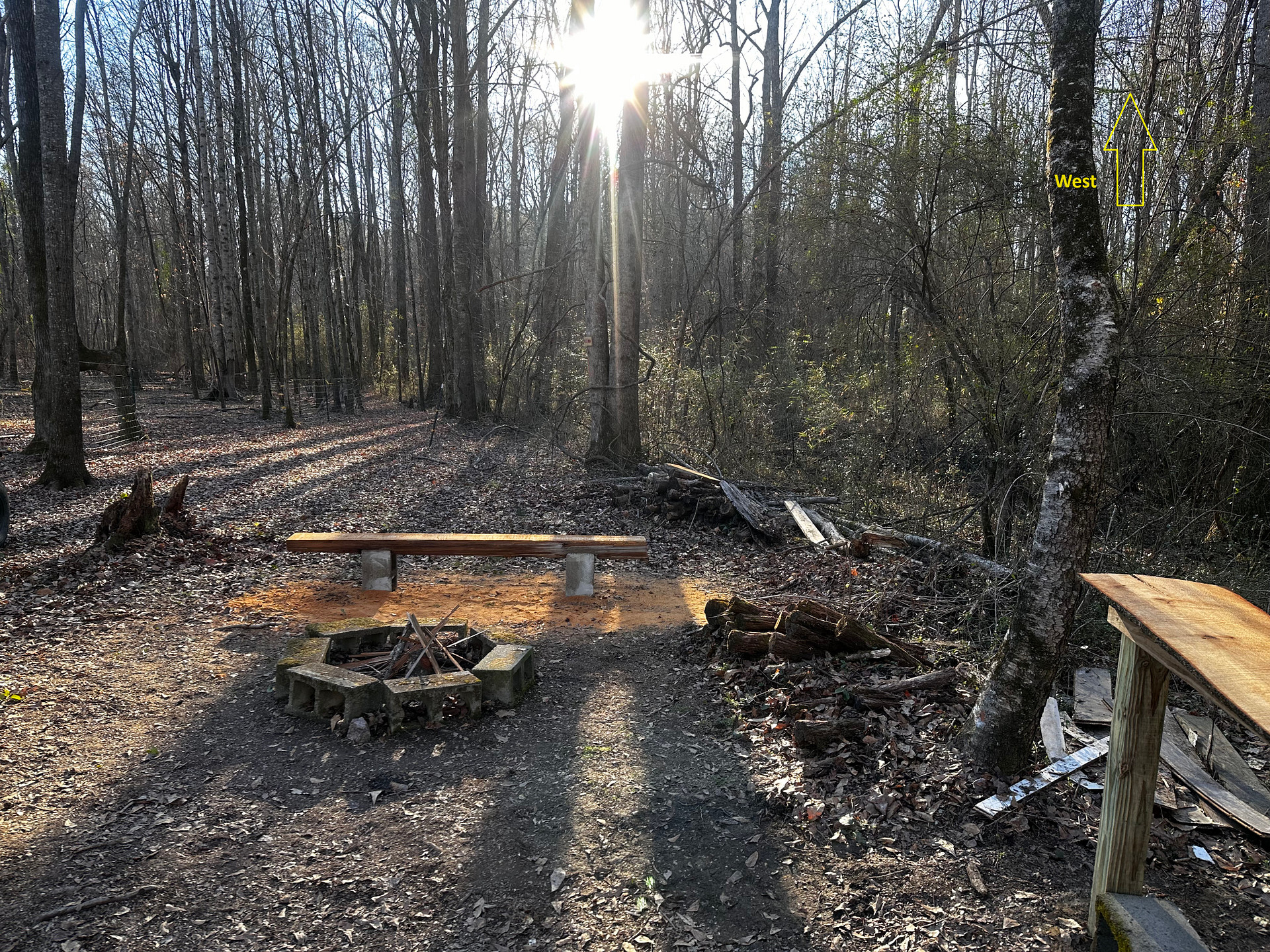 Site 1 - next to goat pasture/stream