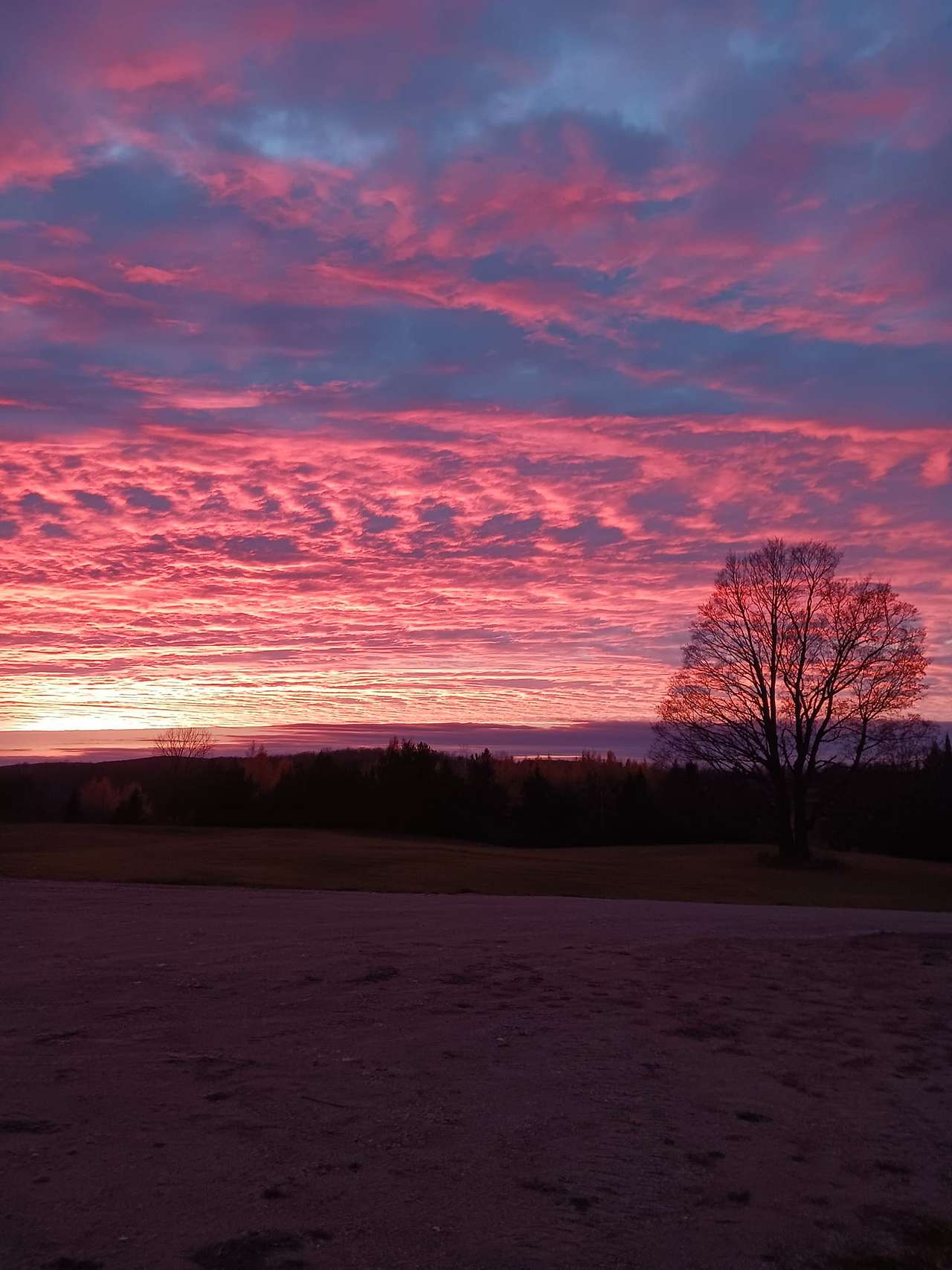 Maple Creek Farm