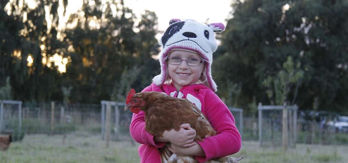 Shottisham Campsite & Smallholding