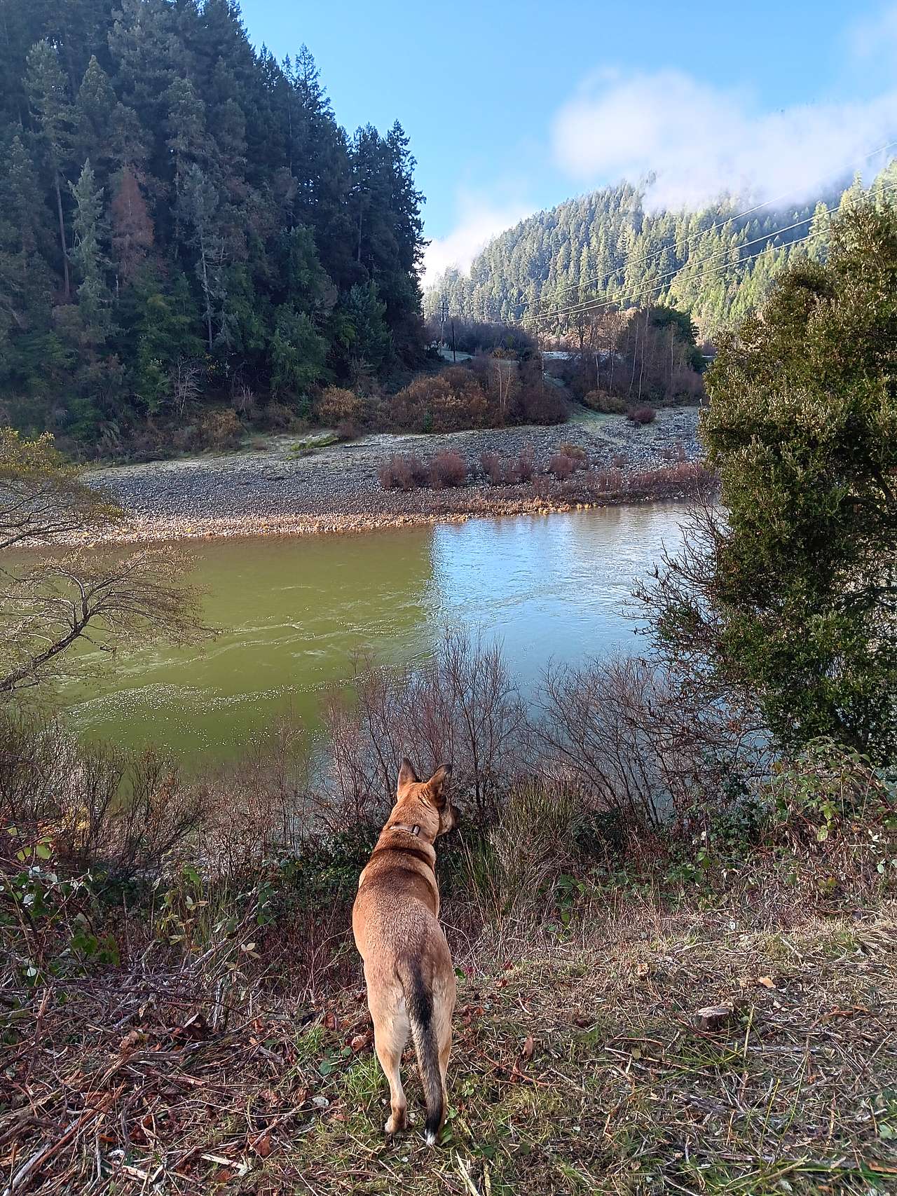 Klamath River Village: Riverfront