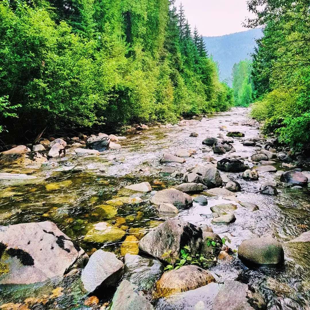Wells Gray Golf & RV Resort