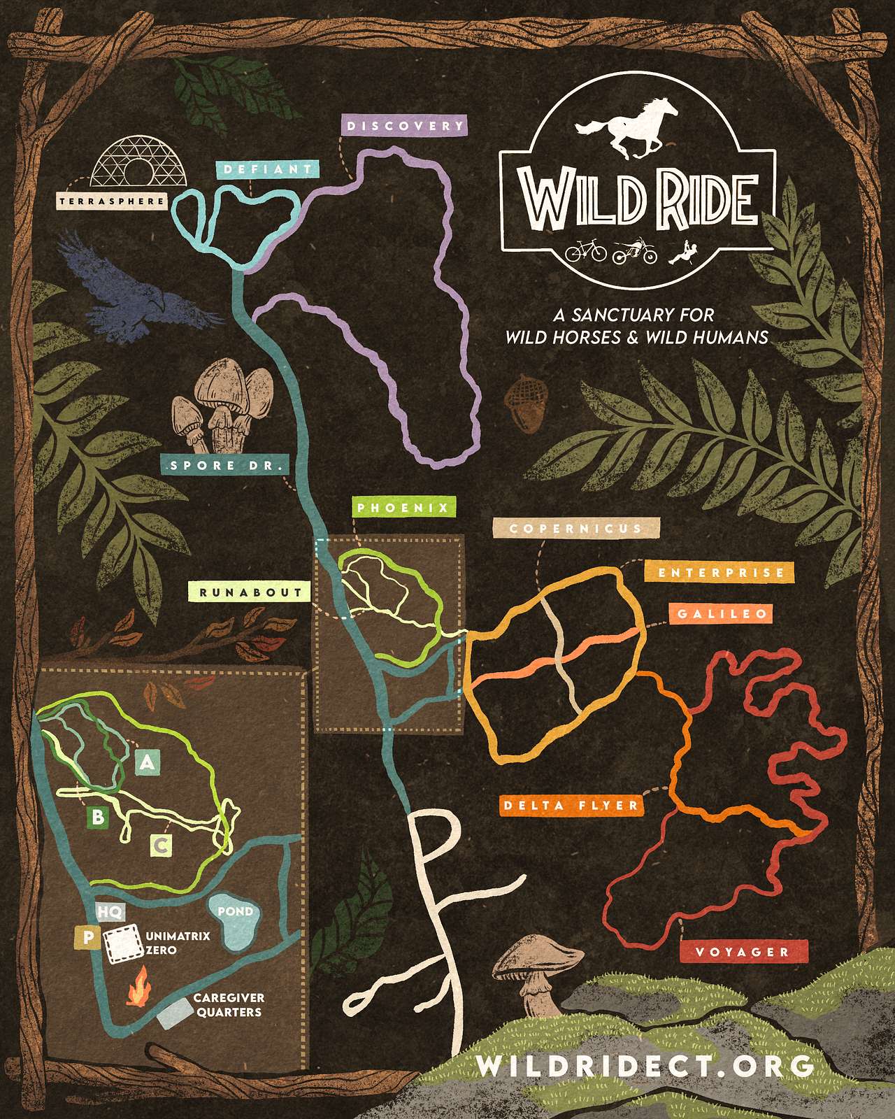 Glamping with the Wild Horses