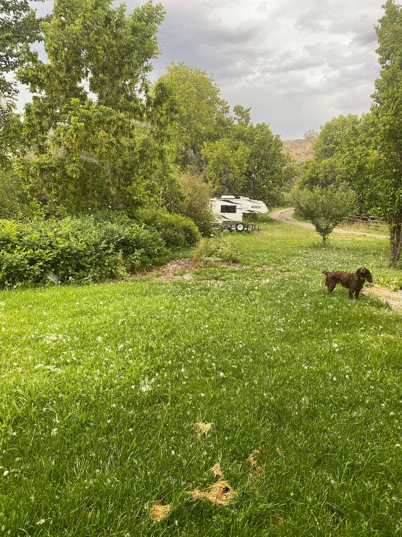 Lemhi River Natural Area Camping