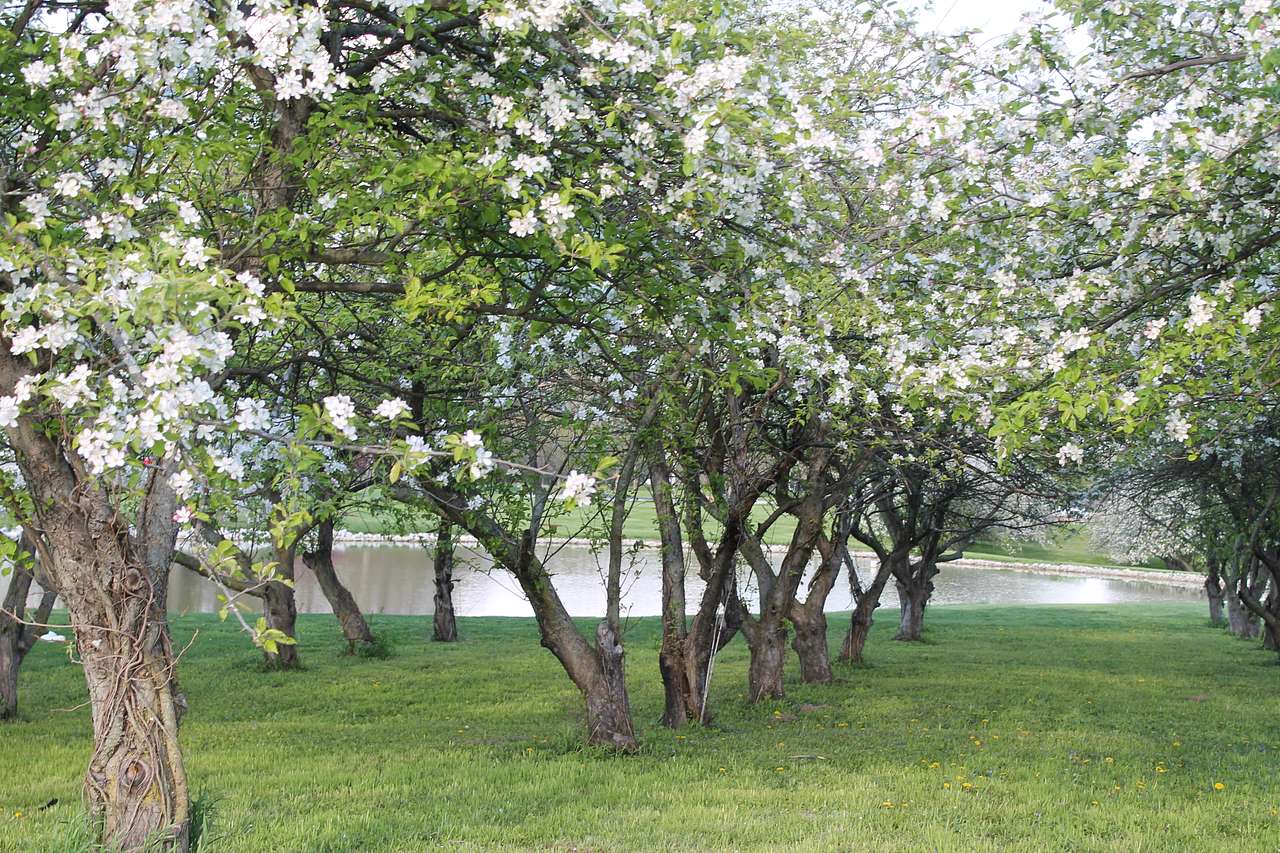 Basic Acres