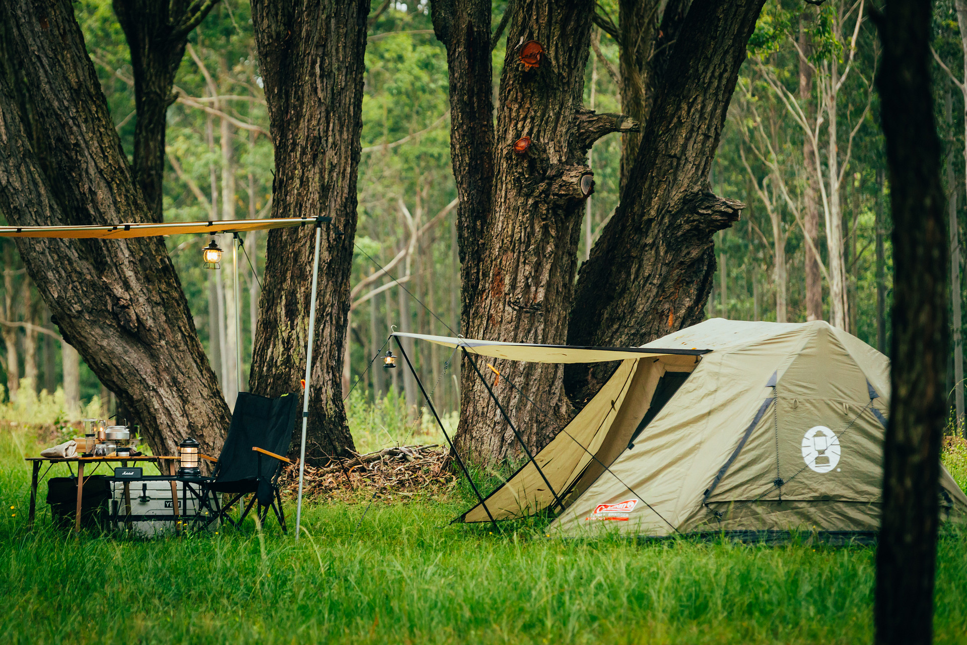 Camp setup