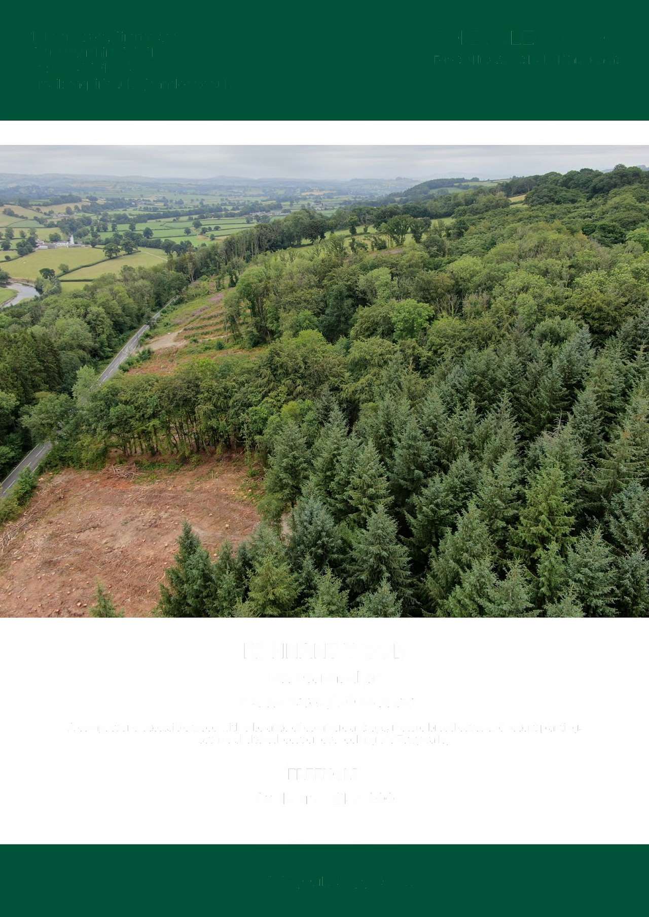 Finnant Wood Wild Camping