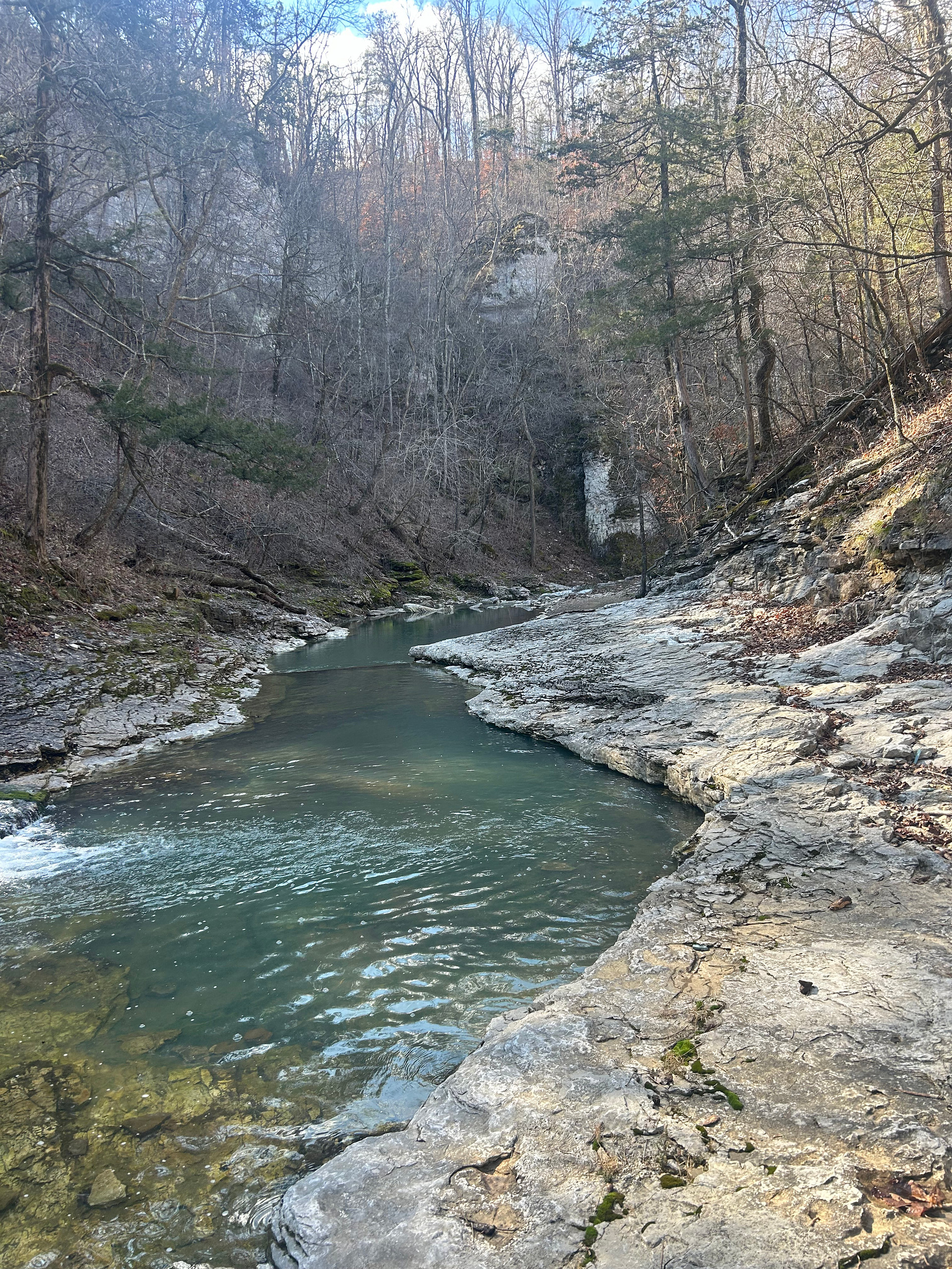 Eden Springs