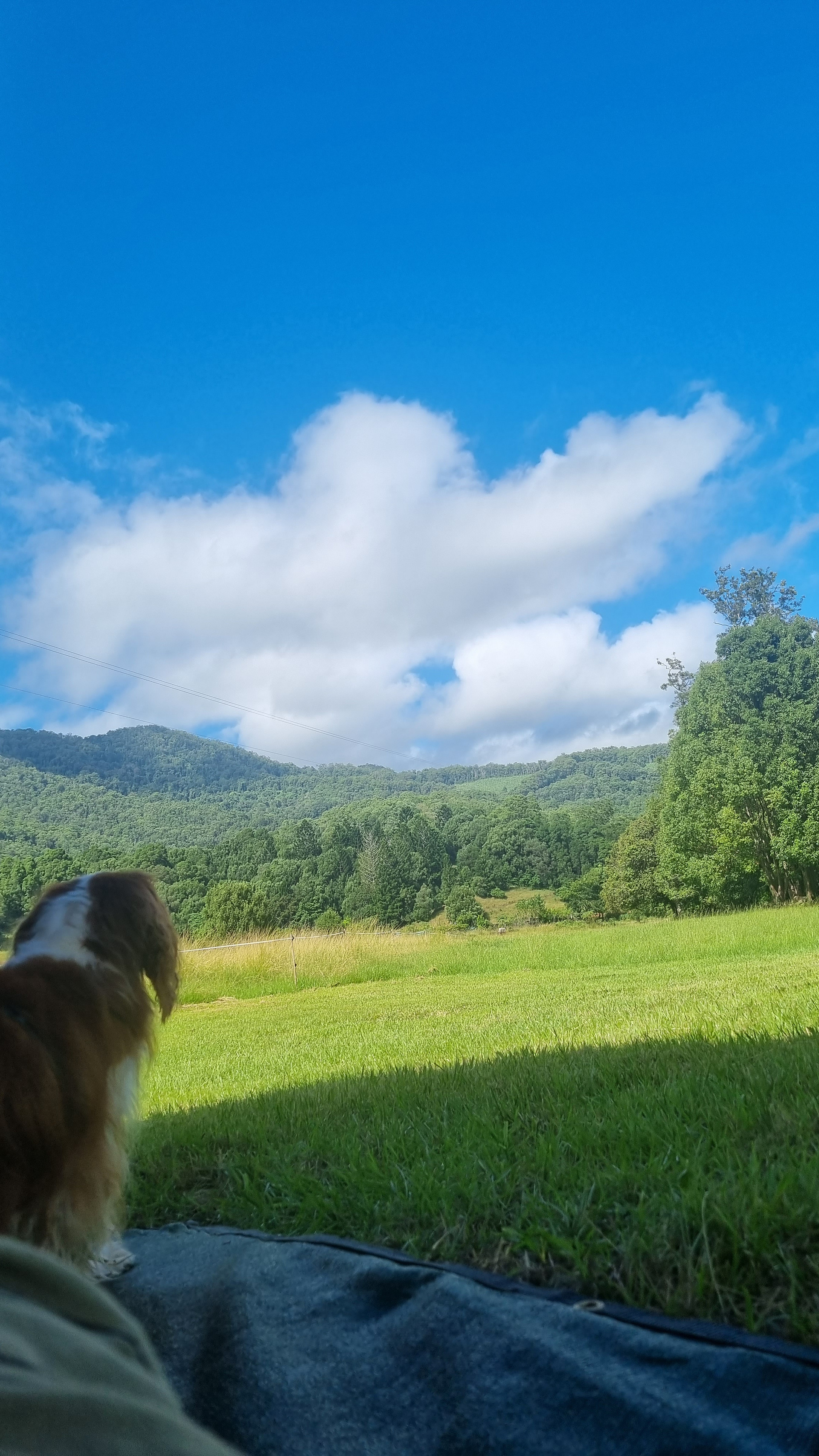 Blue skies