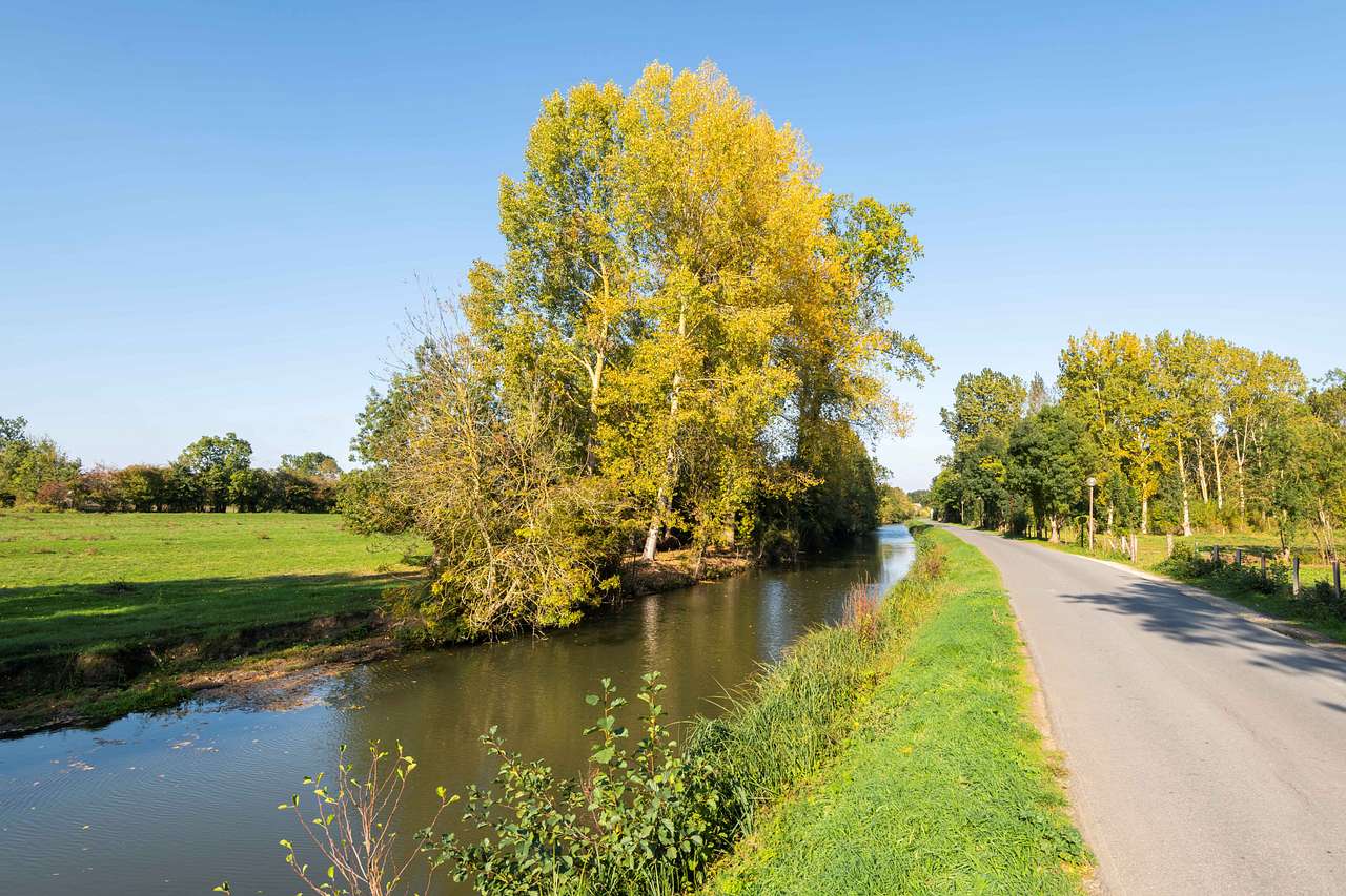 Camping Le Marais Sauvage