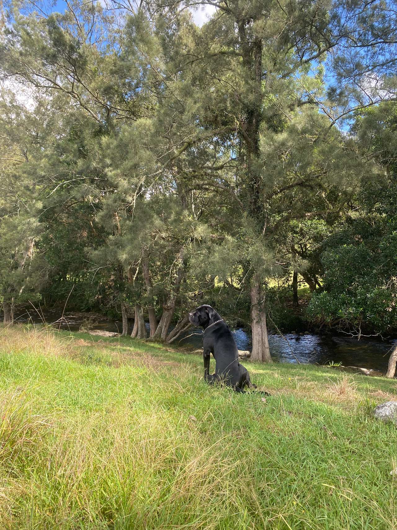 River Front Campsites